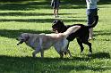 Dogs_09-07-05_0063